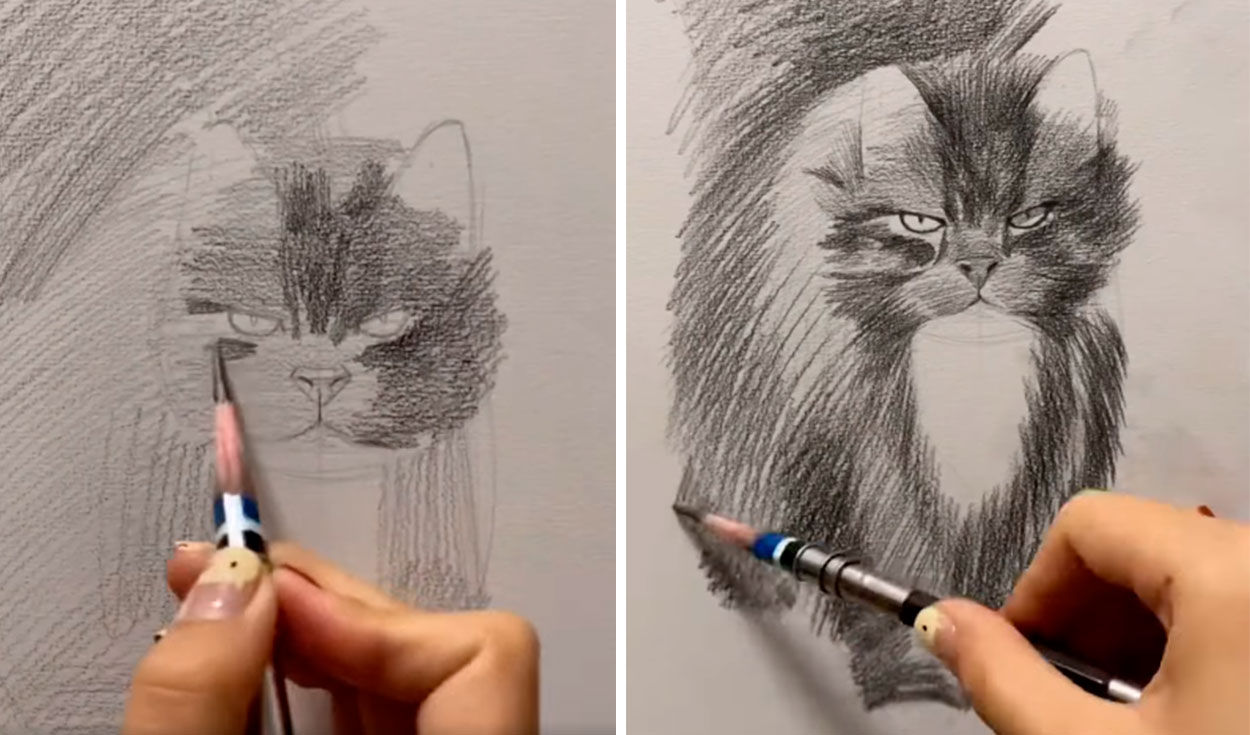thptnganamst.edu.vn viral: joven realiza un dibujo idéntico a su gato y sorprende con  el resultado | Tendencias | La República