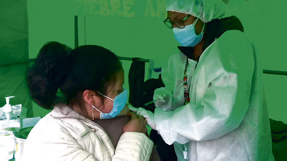 Confirman un muerto por fiebre amarilla en Puno