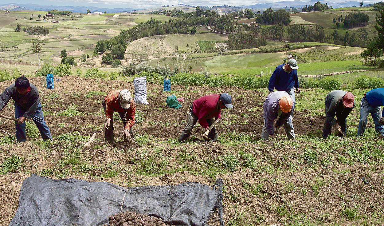Agricultura familiar. En 2020, la pobreza agraria y no agraria se incrementó en 5,5%. Foto: difusión