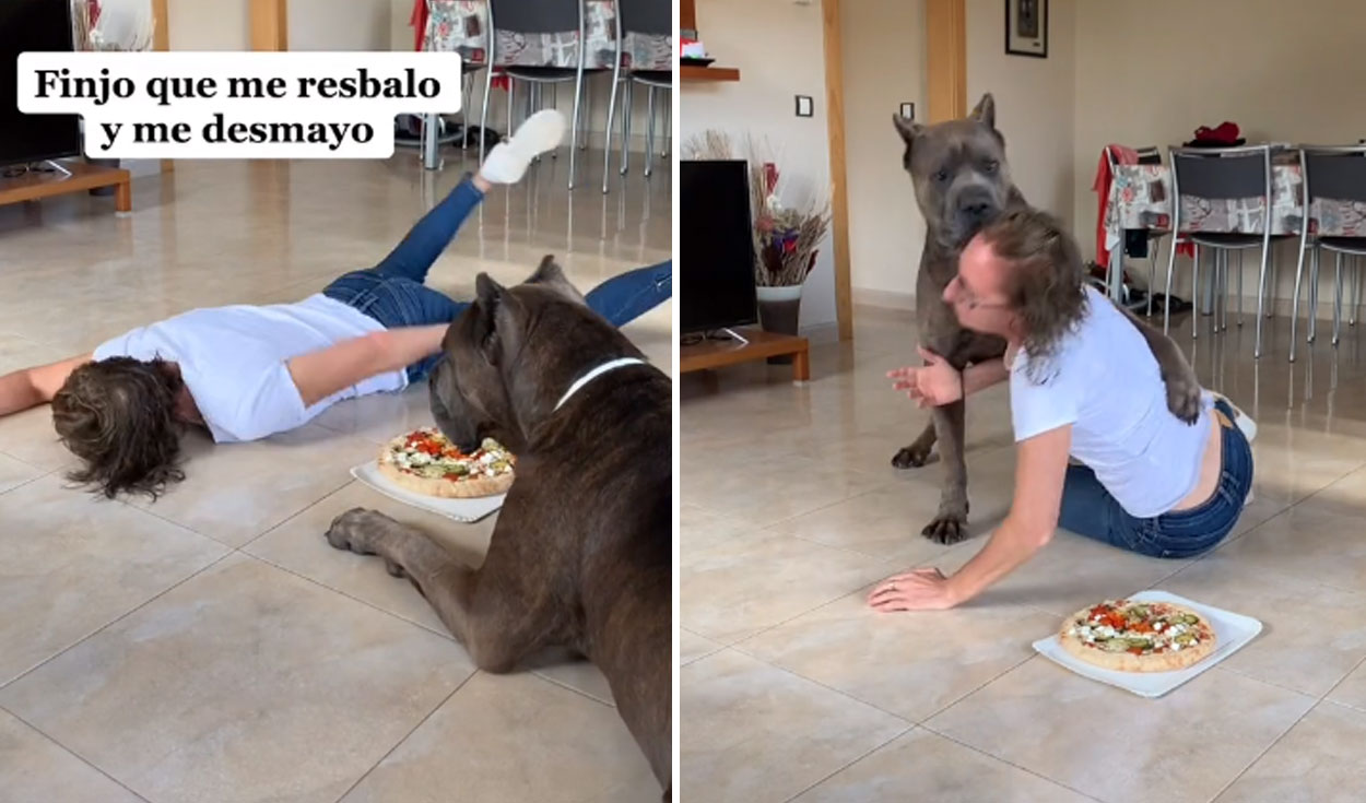 La reacción del can sorprendió a más de uno en las redes sociales. Foto: captura de TikTok