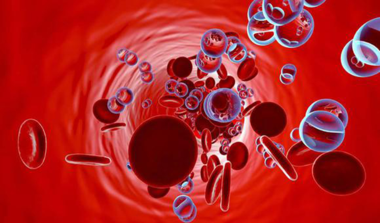 El coronavirus tiene una alta influencia en el torrente sanguíneo. Foto: Yokipost