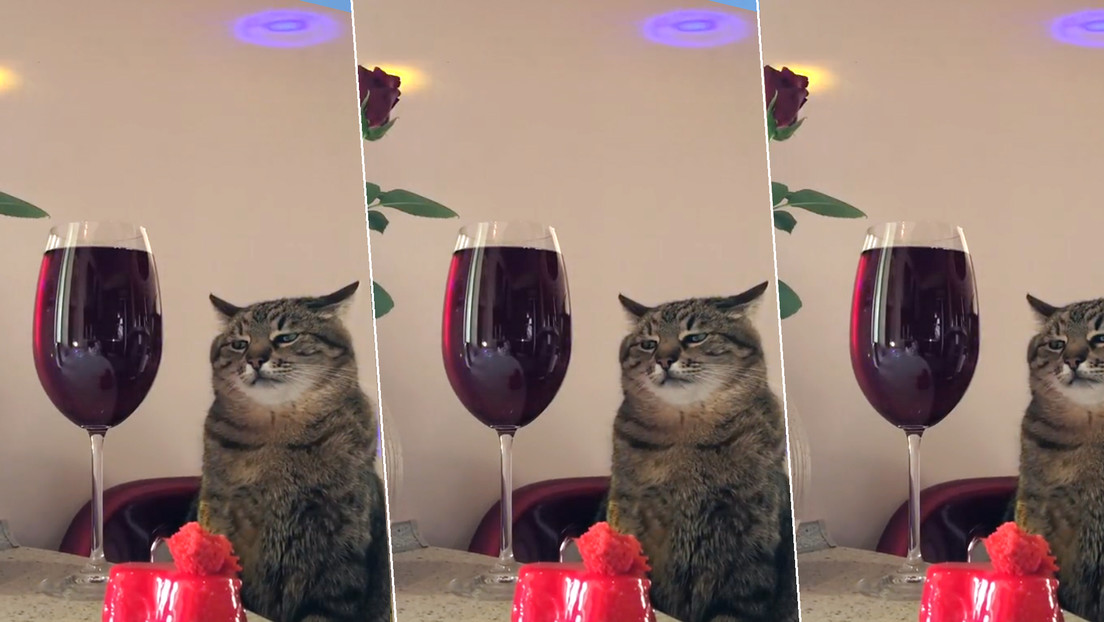 Foto: captura de TikTok