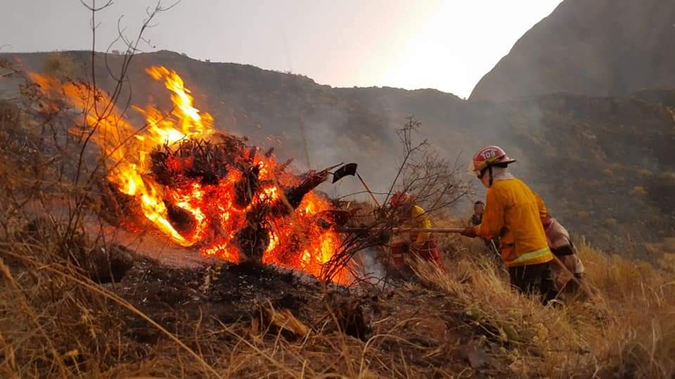 Luego de tres horas, el fuego ya había consumido 30 hectáreas de cobertura natural. Foto: Bomberos de Urcos