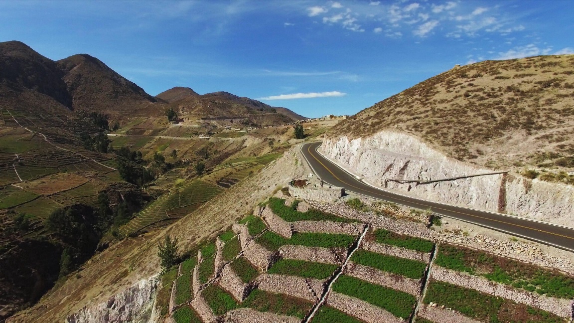 En el primer semestre de 2021, se adjudicaron 14 proyectos por S/ 132 millones mediante la modalidad de Obras por Impuestos.