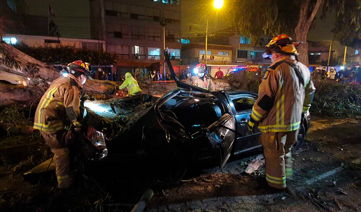 Los vecinos de la zona solicitan que el municipio de Surco se preocupe por el cuidado de los árboles para evitar estos accidentes. Foto: Johann Klug / URPI-LR