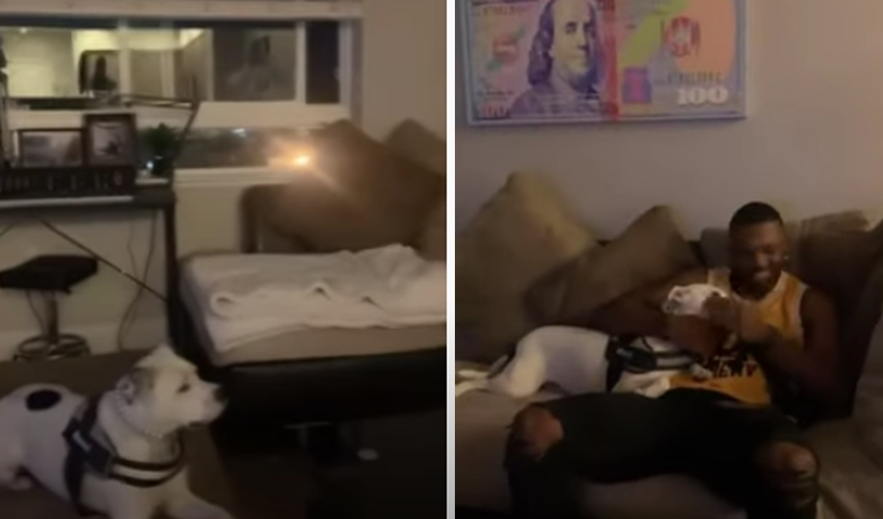 El video viral ha sido compartido en la página ViralSnare Rights Management. Foto: captura de Facebook