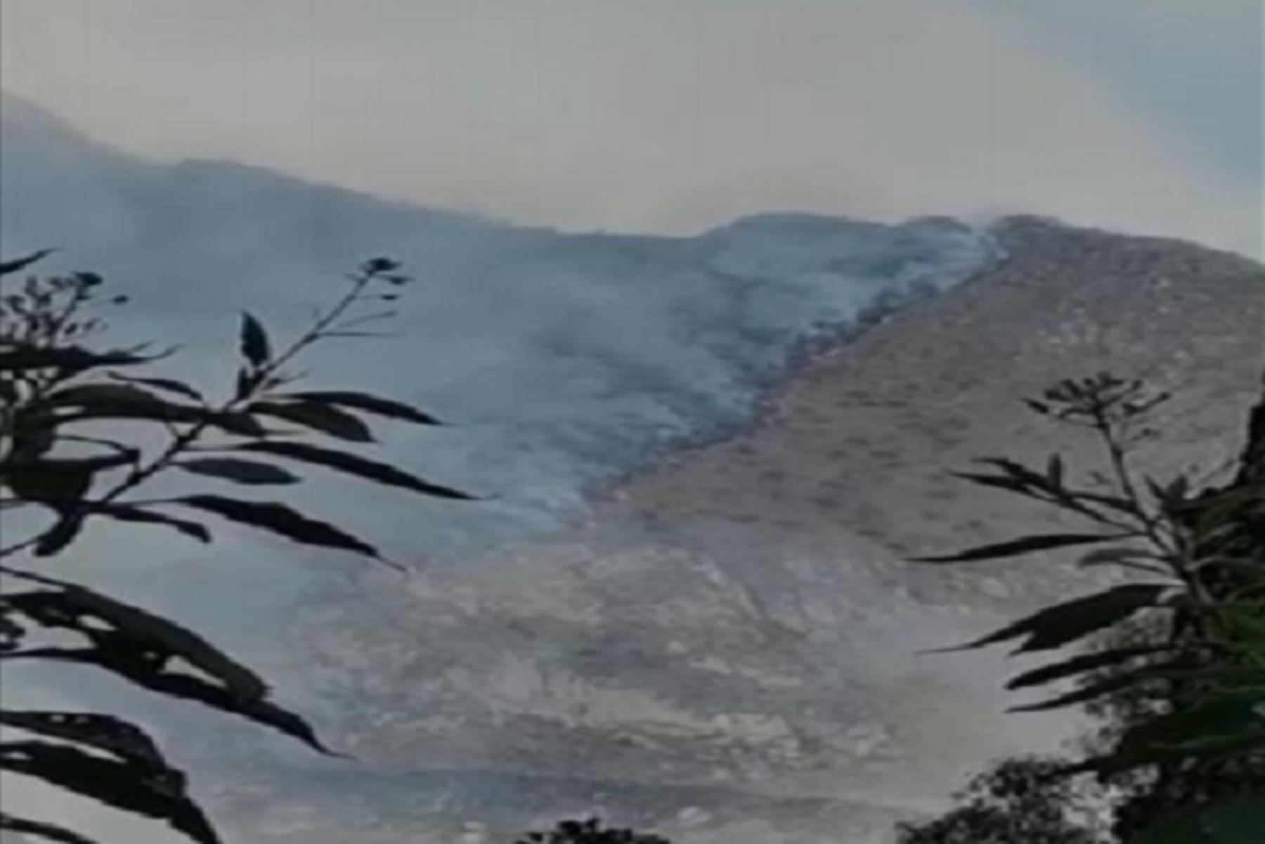 Incendio provocó serios daños en la cobertura natural. Foto: Andina