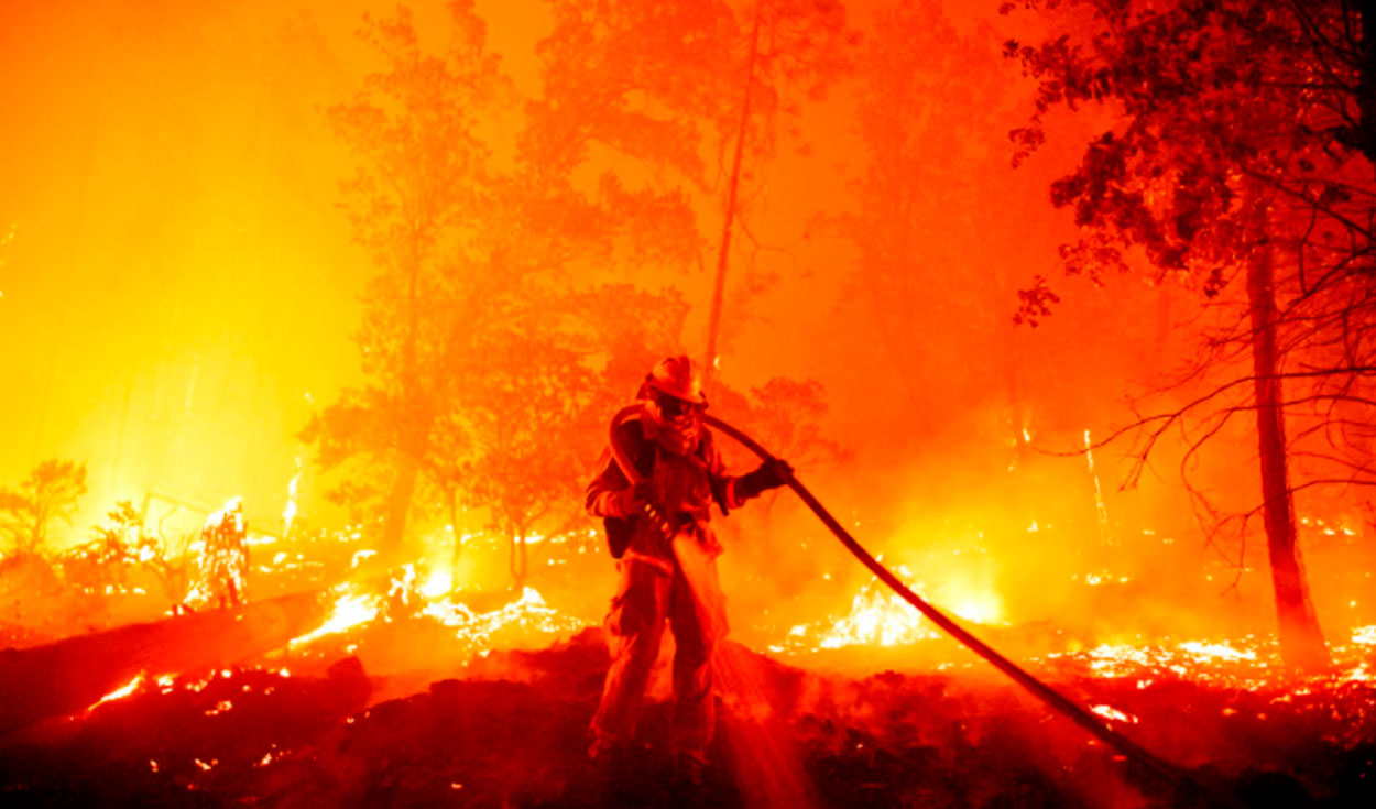 Un bombero apaga las llamas mientras avanzan hacia las casas durante el incendio de Creek en el área de Cascadel Woods del condado no incorporado de Madera, California. Foto: AFP