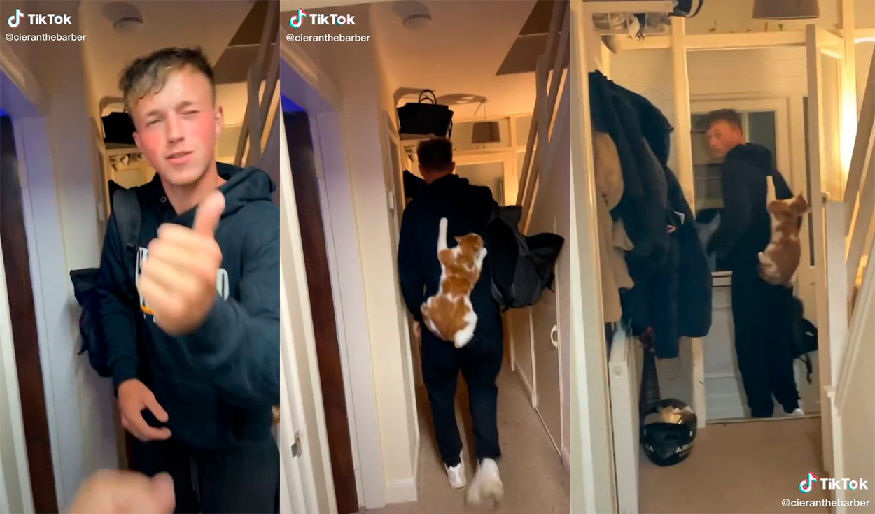 El minino provocó las risas de su dueño al colgarse en la espalda del joven. Foto: captura de TikTok