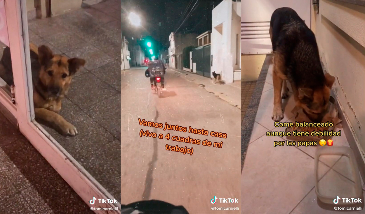 El hombre comentó en la publicación que pese a que no puede acogerlo en su hogar, se encarga de cuidarlo como si fuera su propia mascota. Foto: captura de TikTok