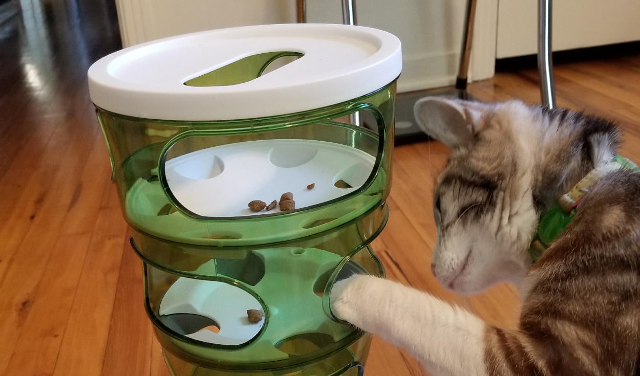 Se observó que los gatos sienten cierto desapego por buscar alimentos en rompecabezas simples. Foto: UC Davis
