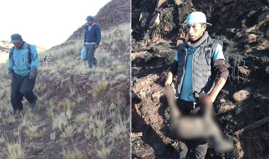 Pobladores locales tuvieron que unir esfuerzos para apagar el siniestro antes que se extienda más. Foto: Municipalidad de Zepita