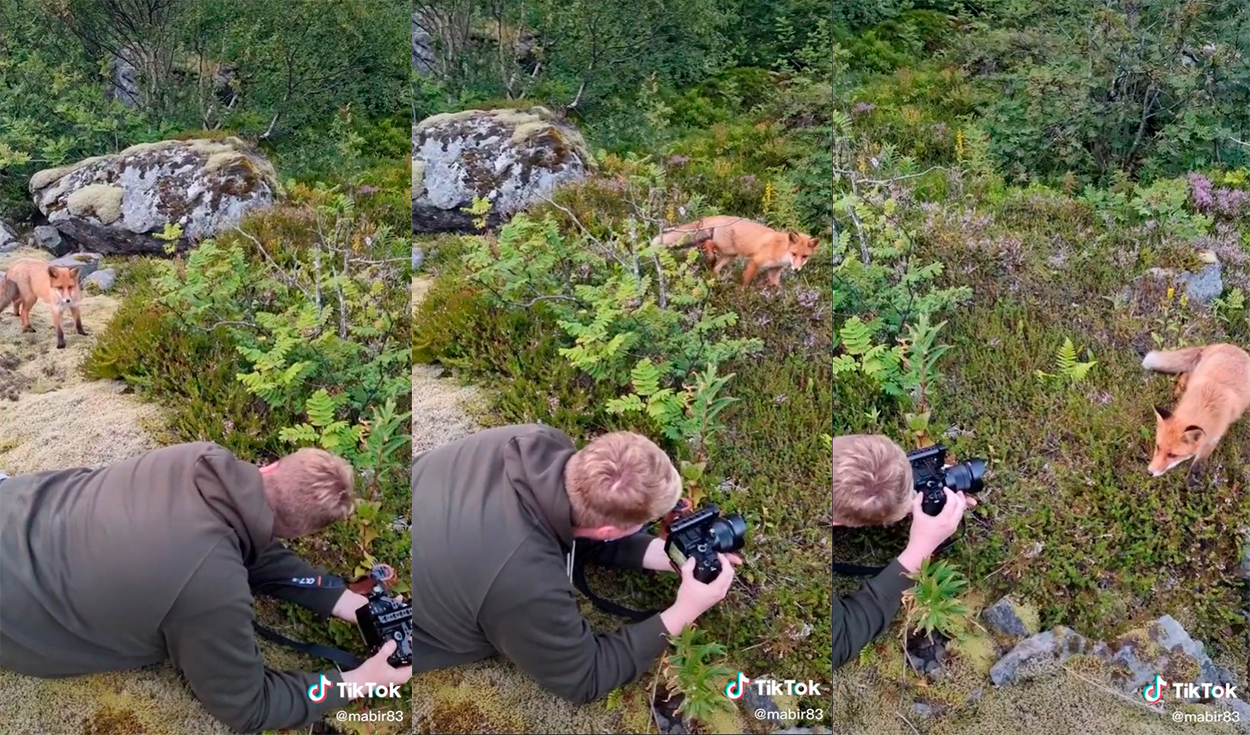 El sujeto no pudo evitar reírse ante la inesperada actuación del animal. Foto: captura de TikTok