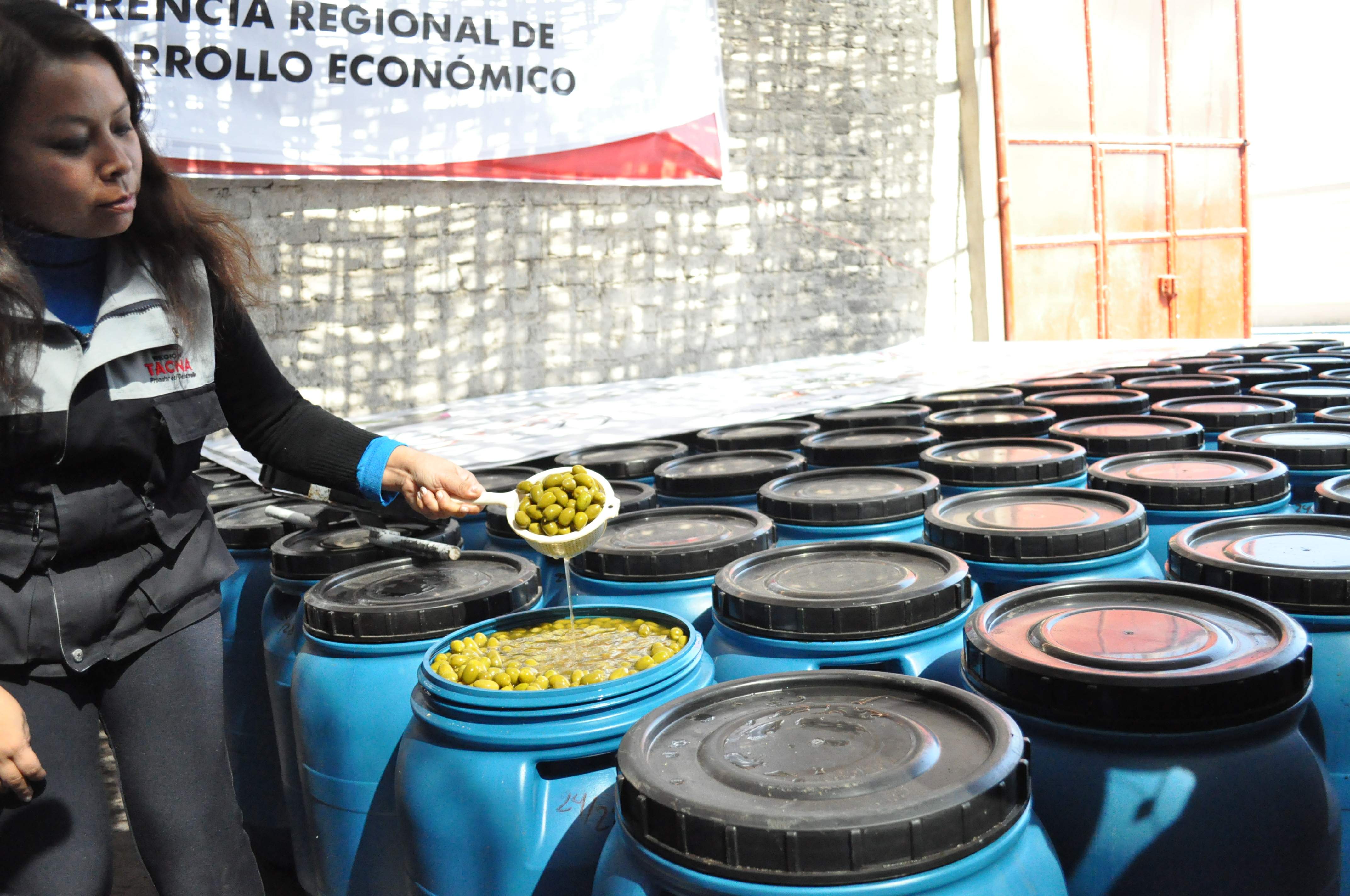 La aceituna es uno de los productos que más se envió al mercado exterior desde Tacna. Foto: Archivo La República