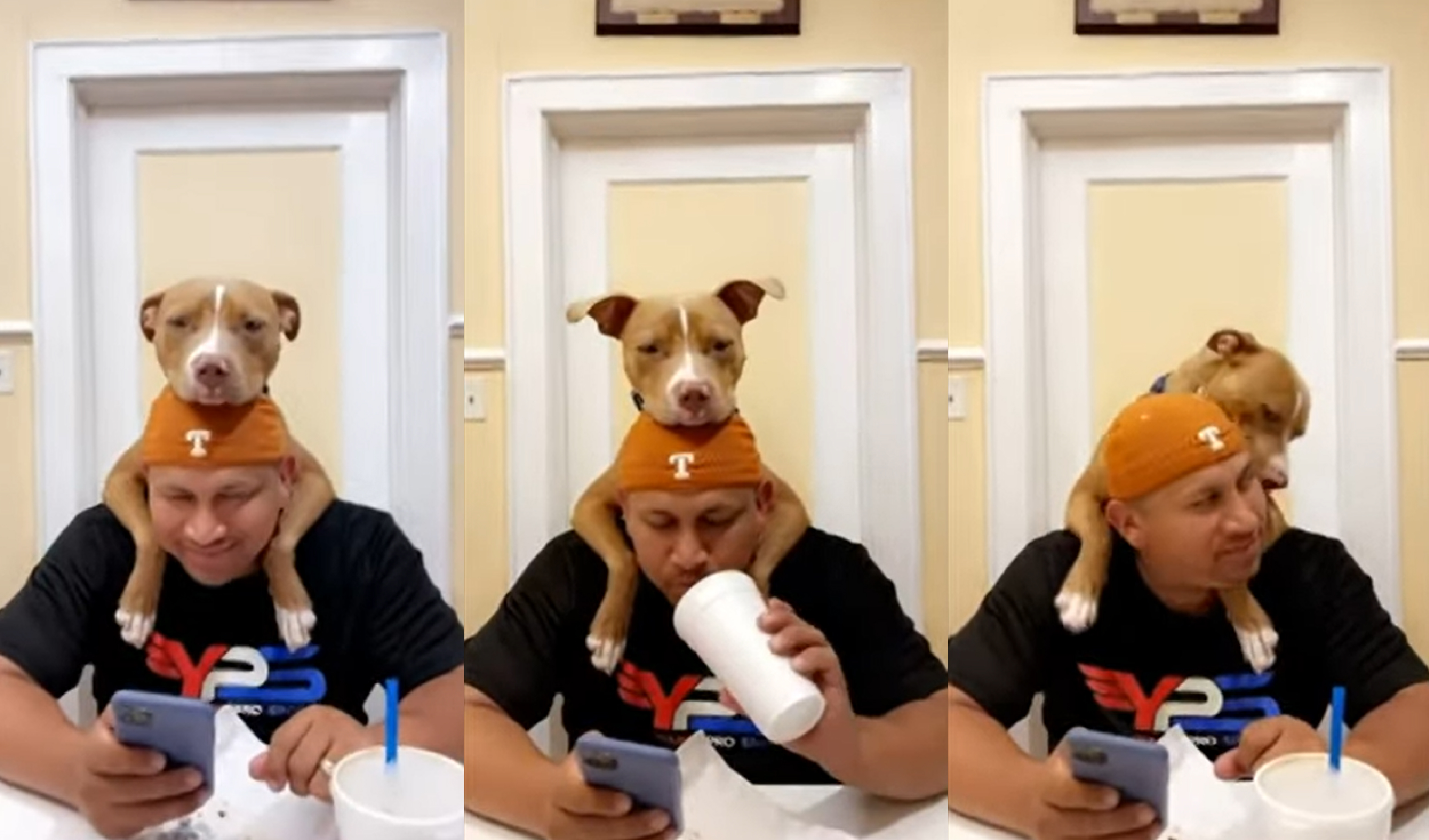 El video viral de YouTube muestra cómo un perrito no deja de abrazar a su dueño. Foto: captura de YouTube