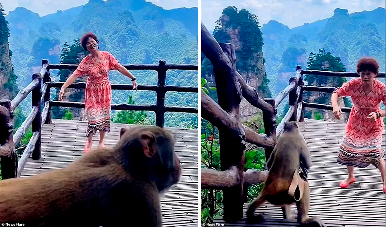 Una mujer con un mono de trabajo mira directamente a la cámara