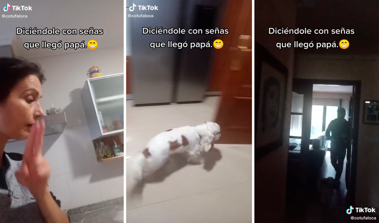 Un oso de peluche y una curiosa flor protagonizan el anuncio