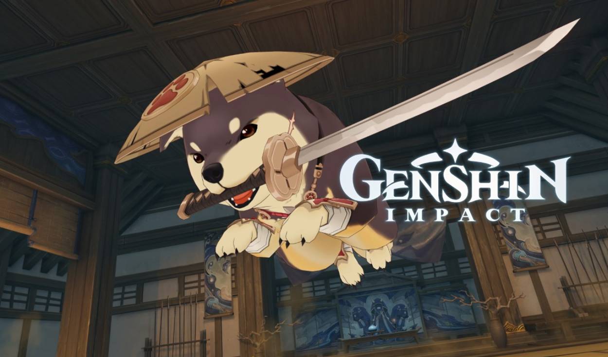 Códigos Genshin Impact Grátis Para Hoje, De Novembro De 2021 - CenárioMT