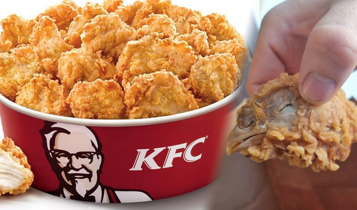 Inglaterra: cliente de KFC encuentra una cabeza de pollo entera en su  pedido | Mundo | La República