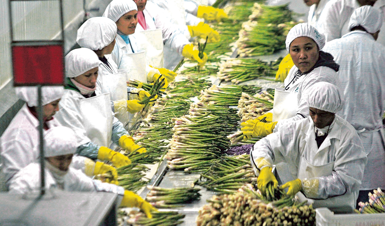 Contribution from agro-exporters to EsSalud will once again be 6% from January 1, 2024
