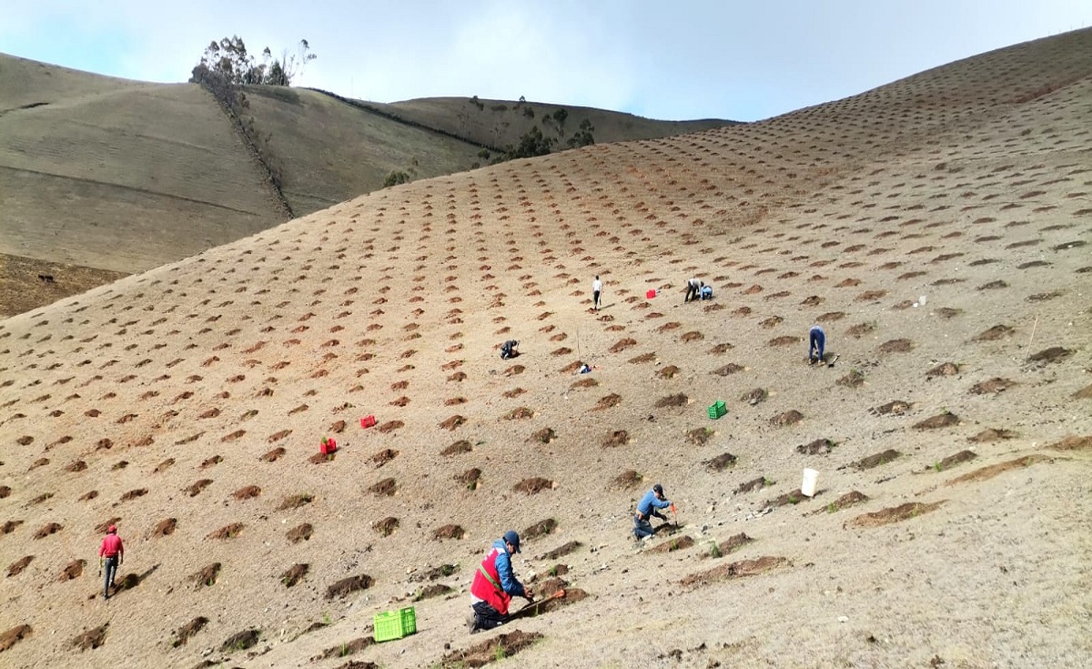 Piura: microreservorios de la meseta andina permitirá mejorar condiciones  de riego | Sociedad | La República