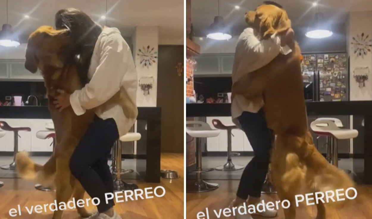 TikTok viral: perro se levanta para sacar a bailar a su dueña y  protagonizan divertida coreografía | Tendencias | La República