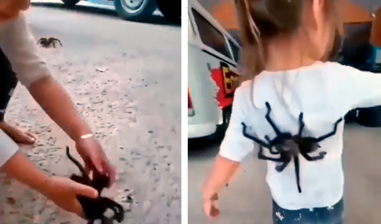 Facebook viral: niña desconcierta a miles por tener a 2 tarántulas de  mascotas y jugar con ellas | Tendencias | La República