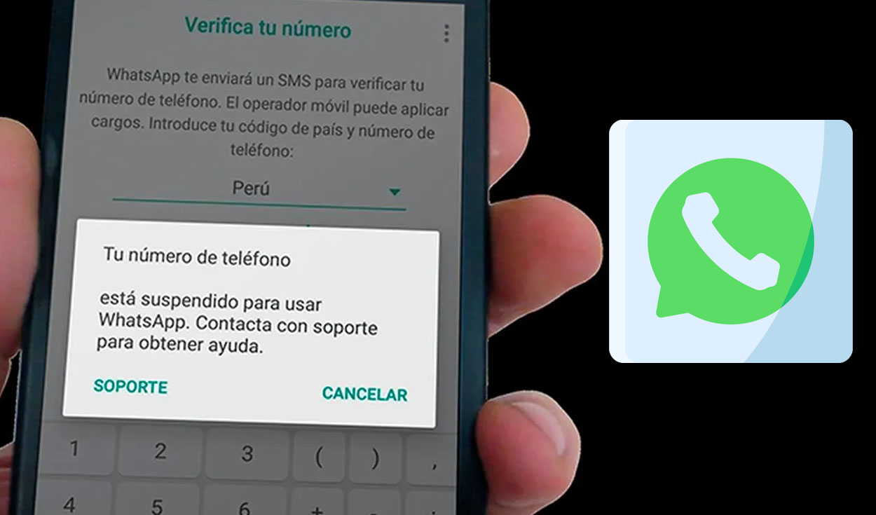 WhatsApp: ahora se podrá utilizar una cuenta en hasta cuatro