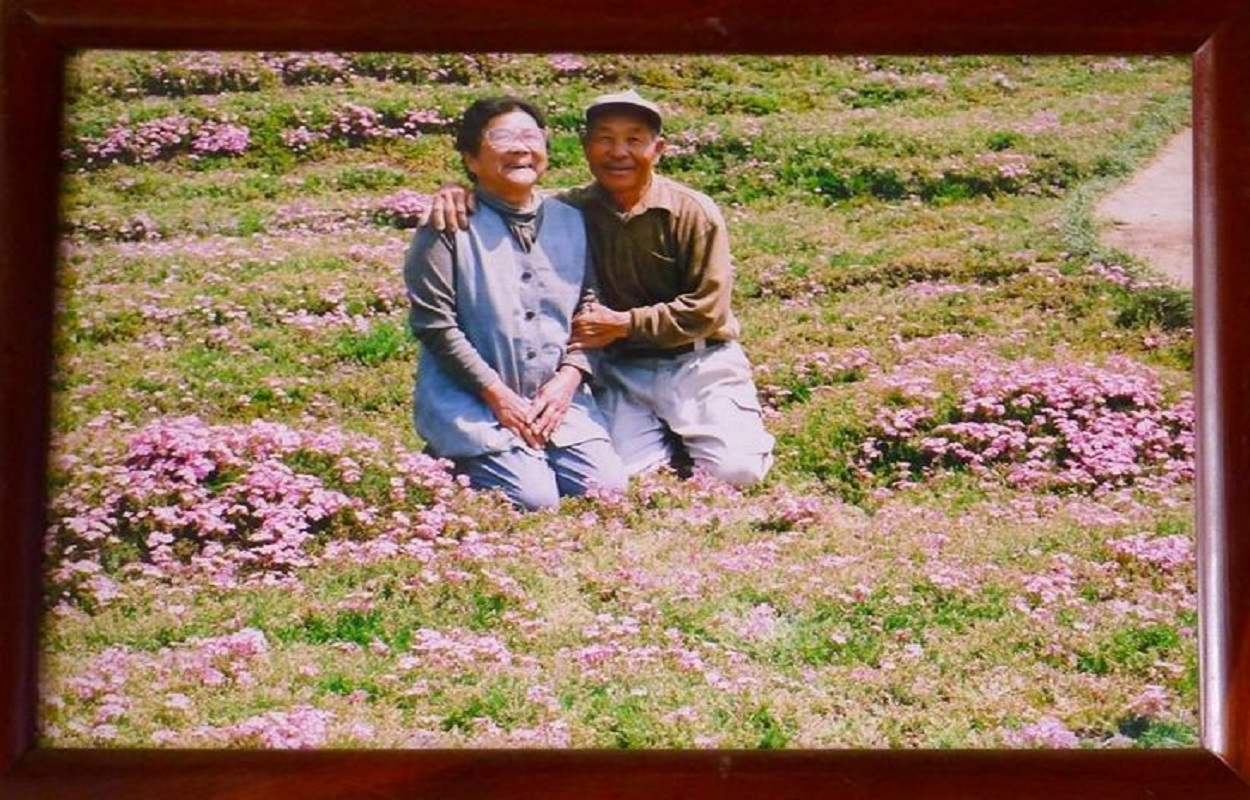 La Mundial - 🌼🌼 Más vida para tu jardín con las fuentes de