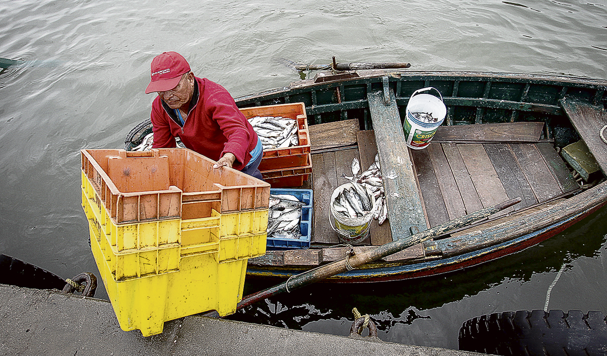 Congress proposes to reactivate artisanal fishing through state purchases