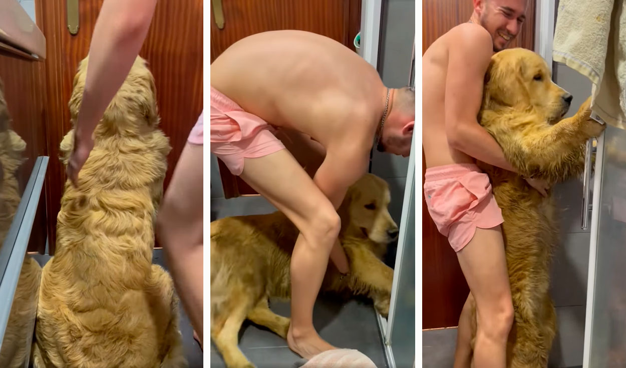 Facebook viral: perro se resiste a ser bañado y hace de todo para evitar  que su dueño lo meta a la ducha | Estados Unidos | Video | | Video viral |  La República