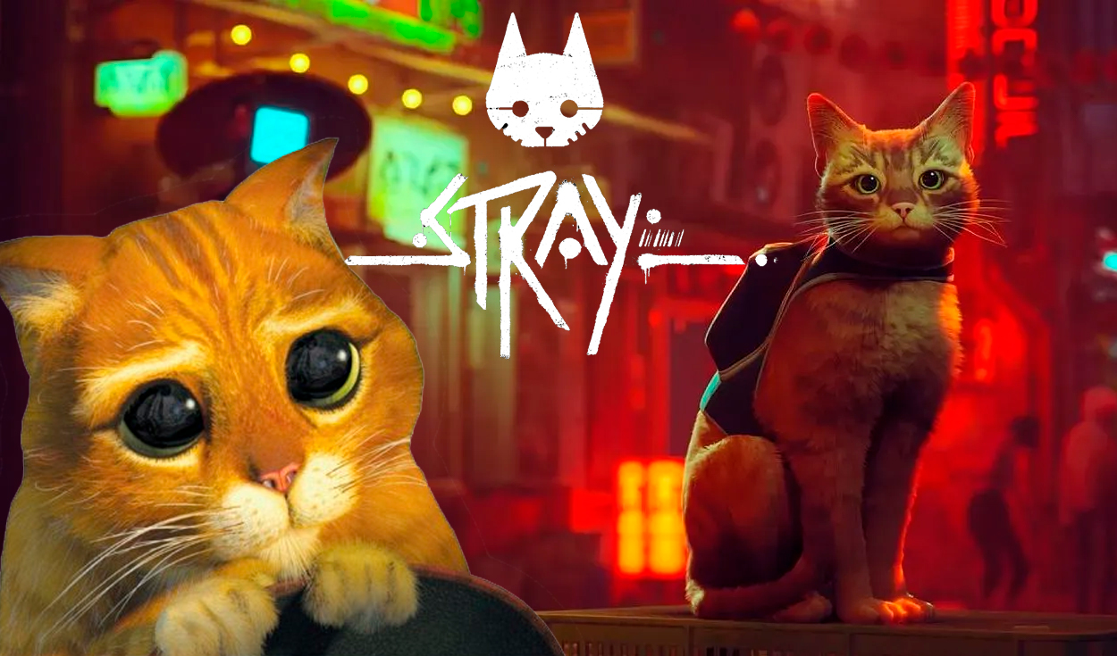 Stray: así puedes solicitar tu reembolso por el juego del gatito