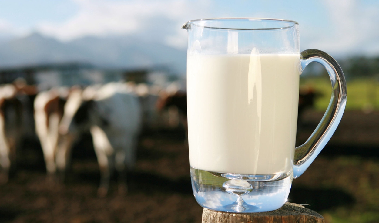En octubre, debería entrar en vigencia la modificación al reglamento de la leche. Foto: El español/referencial