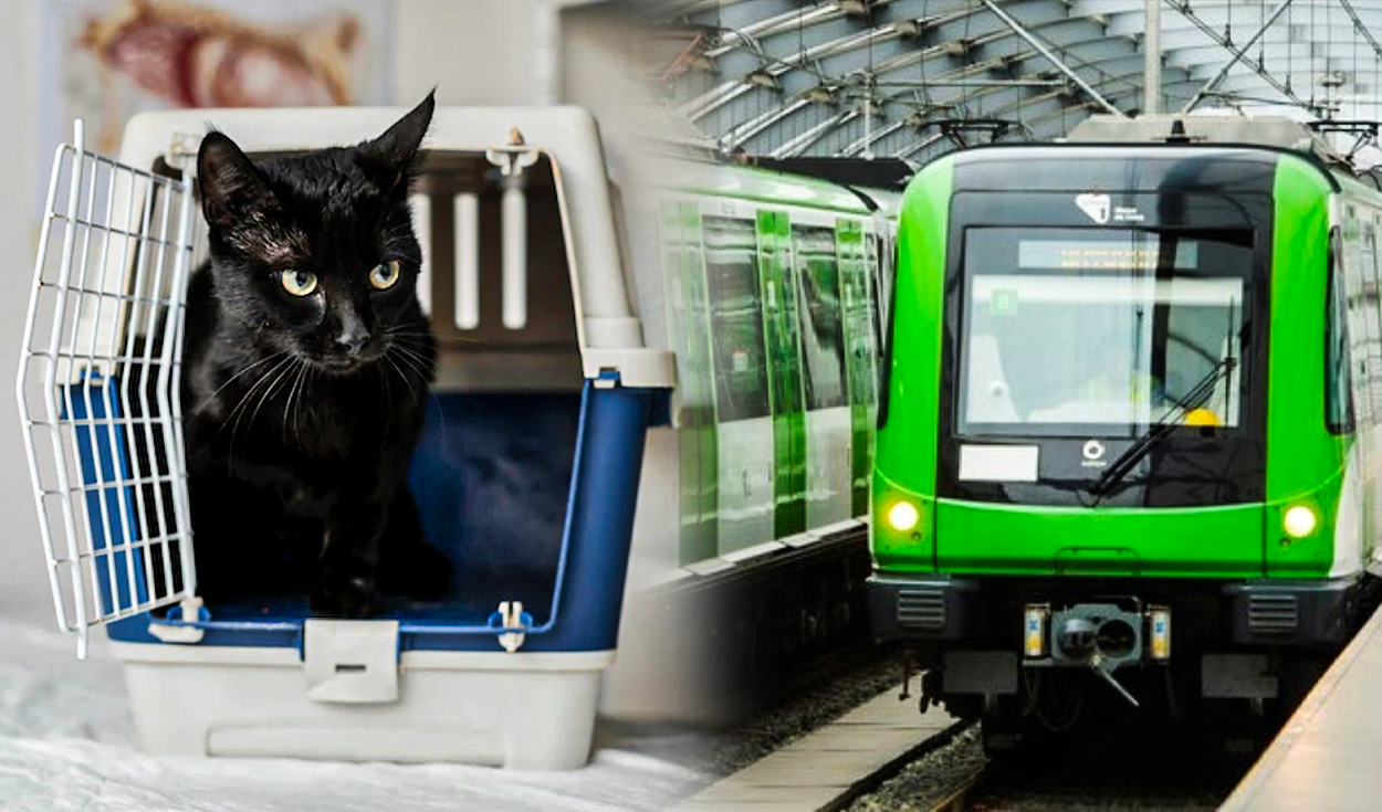 se permiten perros en los trenes de metro