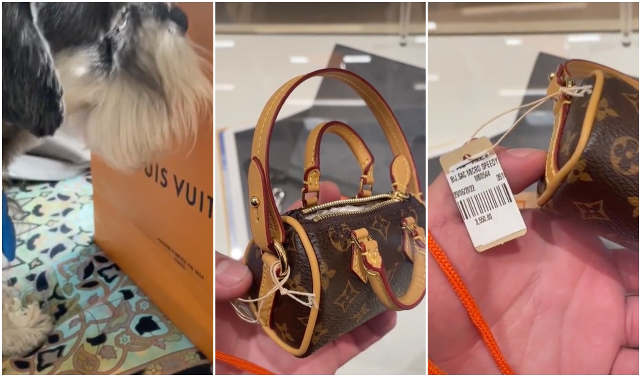 Se vuelve viral una casa tapizada con el logo de Louis Vuitton
