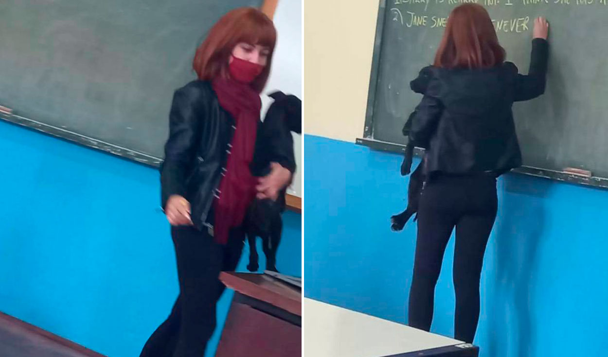 Facebook viral: profesora consuela a perrita que entró asustada a su salón  y la carga mientras da clases | Historias | La República