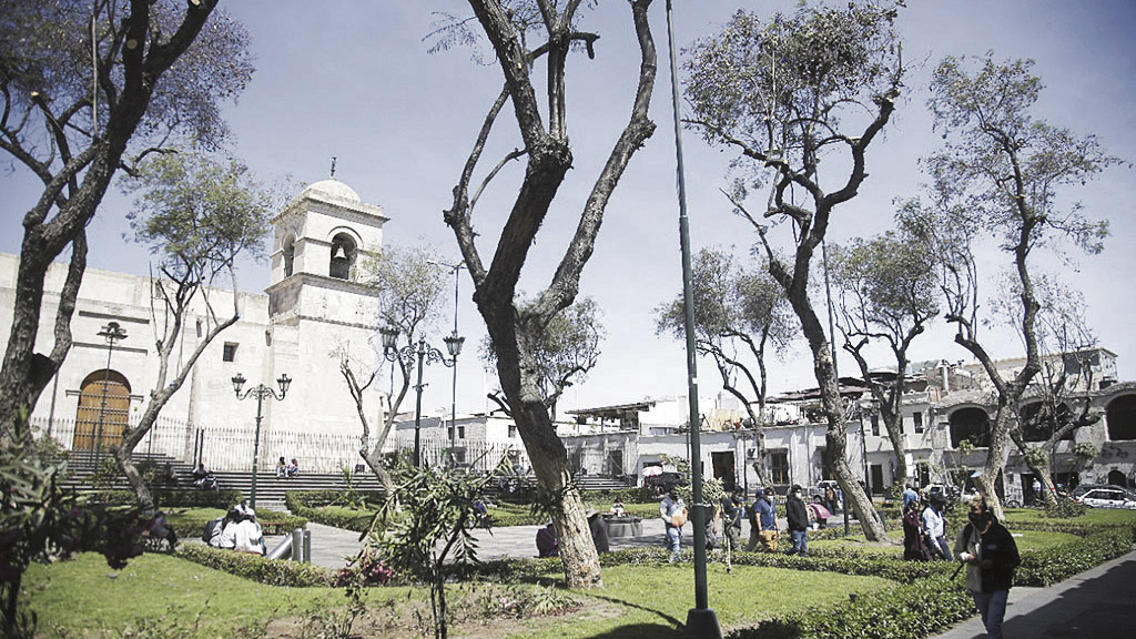 Municipalidad de Arequipa sin protocolo para podar arboles lrsd | Sociedad  | La República