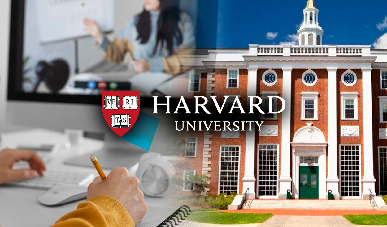 Universidad de harvard discount carreras y costos