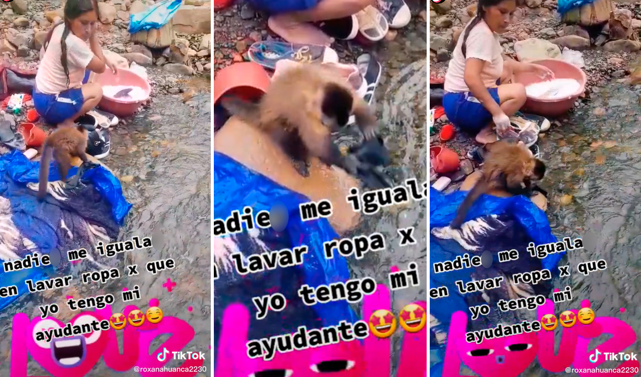 TikTok viral: pequeño mono ayuda a lavar la ropa a una joven en la orilla  de un río | Redes Sociales | Video | Tendencias | La República