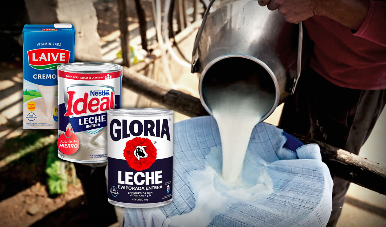 Ganaderos optan por vender la leche fresca que producen a Nestlé y Laive porque Gloria les bajó el precio por litro. Foto: composición LR / captura de video de Agalep