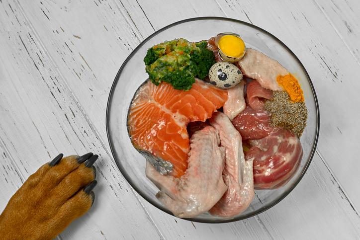 Así luce un plato de perros a base de alimentos que conforman la dieta BARF. Foto: Experto Animal
