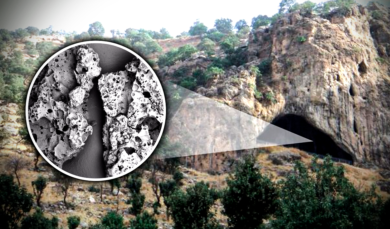 Los alimentos fueron descubiertos en una cueva de Irak que habría estado habitada por neandertales hace 70.000 años. Foto: composición de Gerson Cardoso / Universidad de Liverpool / Antiquity (2022)