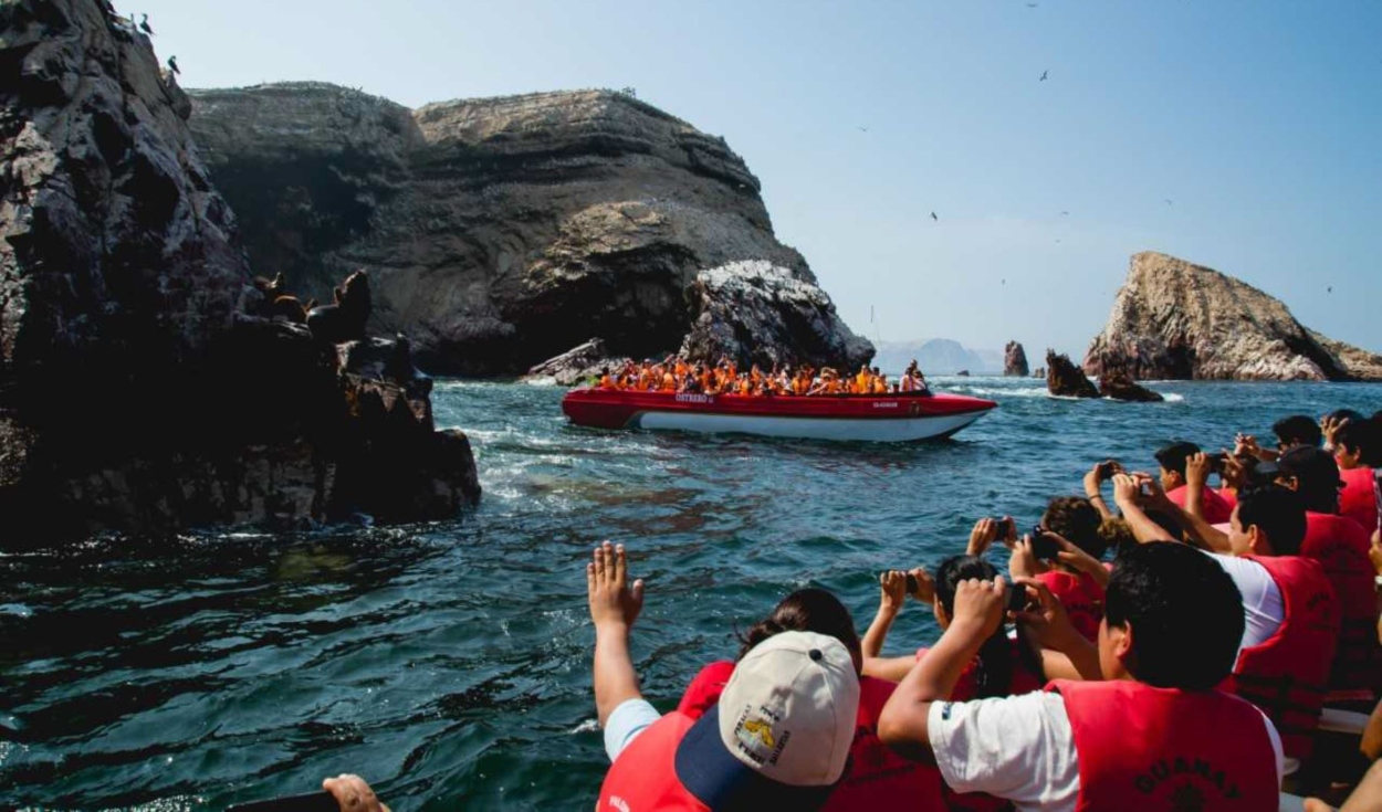 Paracas: visits to Ballestas Islands resume after suspension due to anomalous waves
