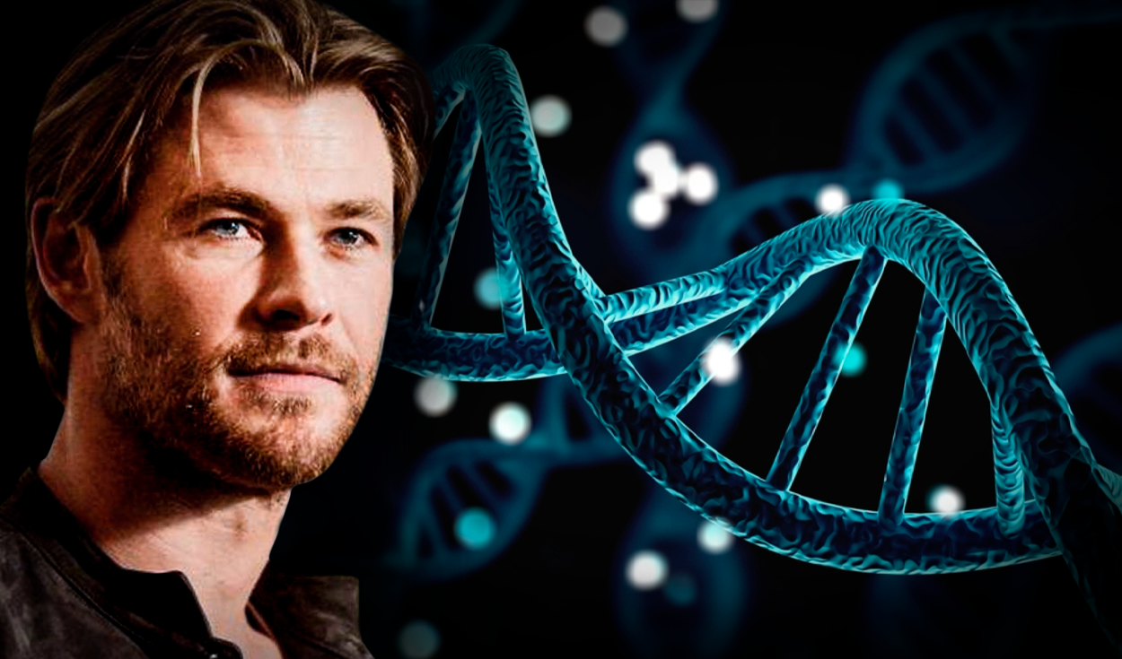 Chris Hemsworth se dará un tiempo de licencia en su carrera de actor tras descubrir que posee dos copias del gen APOE4, un factor de riesgo muy fuerte para el alzheimer. Foto: composición de Jazmín Ceras / AFP / Cornell University