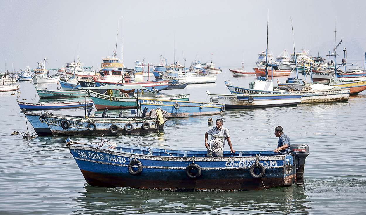 INEI: fishing production fell 70.60% during May