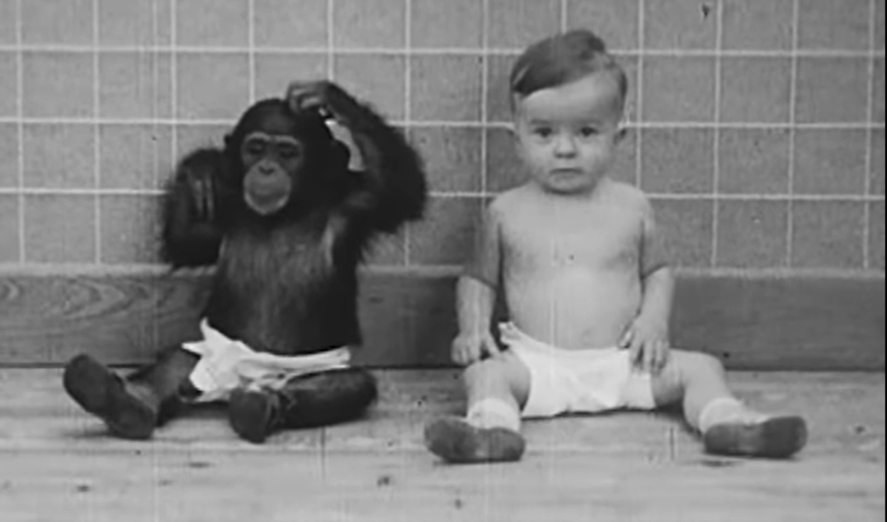 La chimpancé Gua y el bebe Donald fueron criados como hermanos en un experimento de 1931. Foto: captura de Youtube