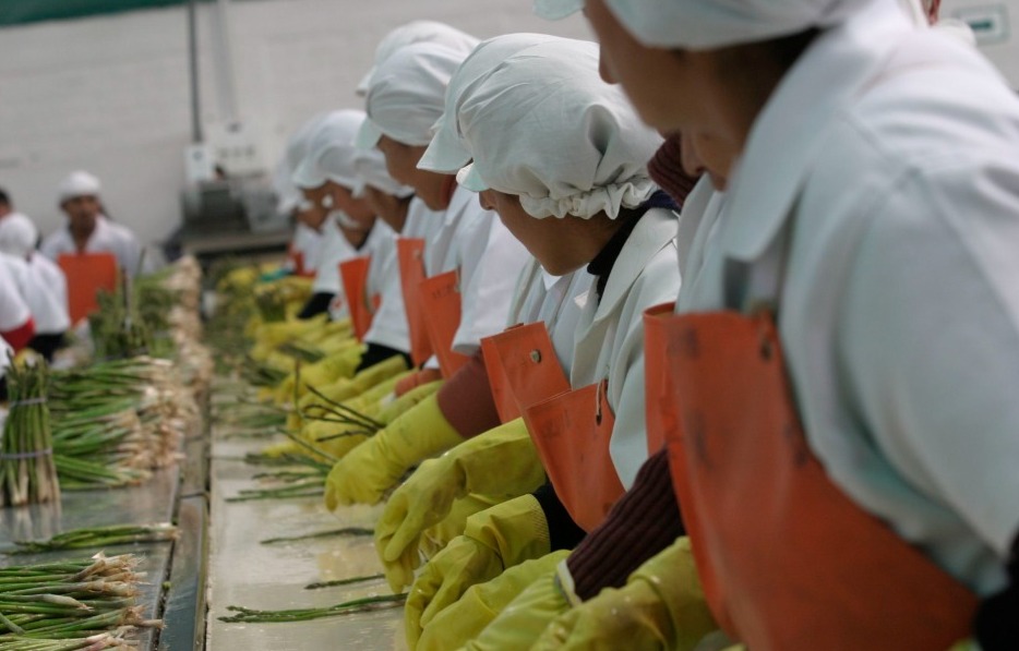 Layoffs and debts overwhelm small businessmen in Arequipa