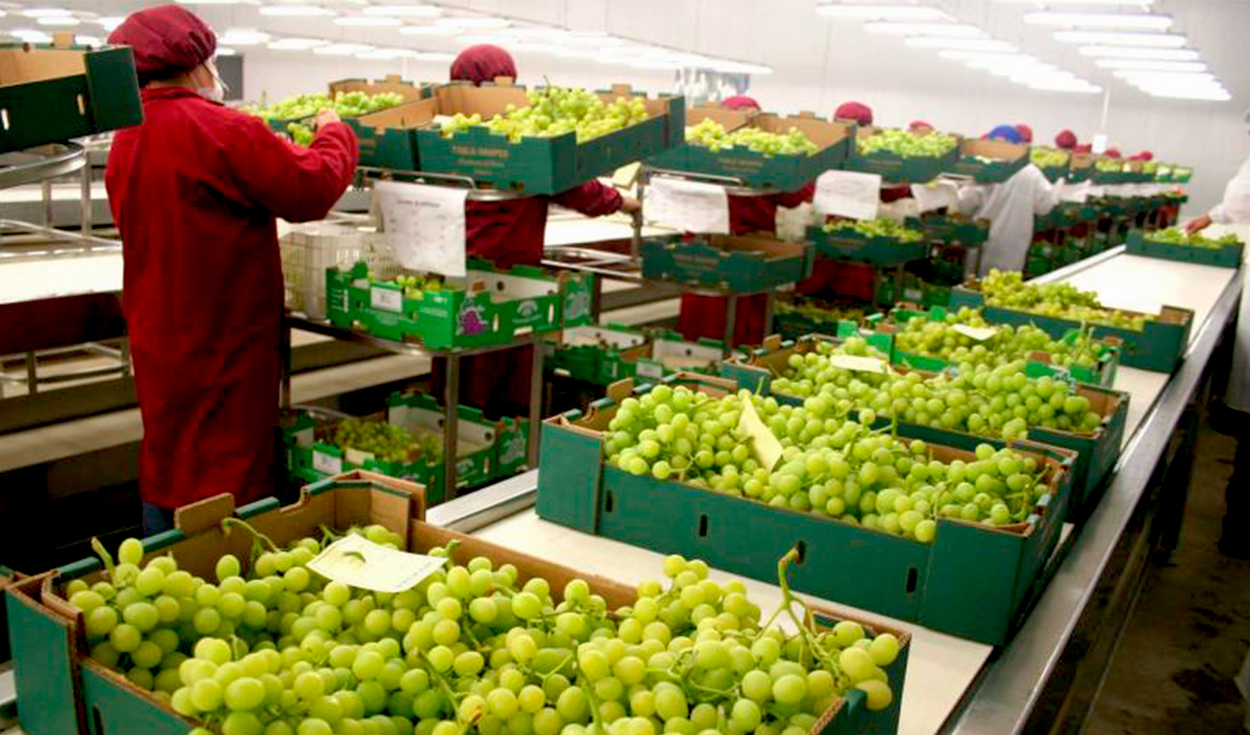 Workers in the agro-export sector could access contracts with an indefinite term