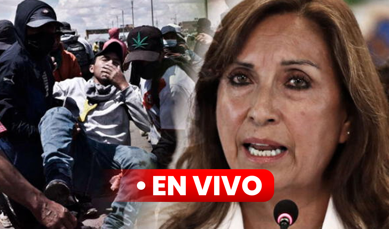 Dina Boluarte LIVE: President will testify today before the OAS Permanent Council