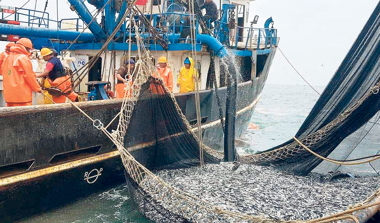 They propose to reduce fines in the fishing sector by up to 90%